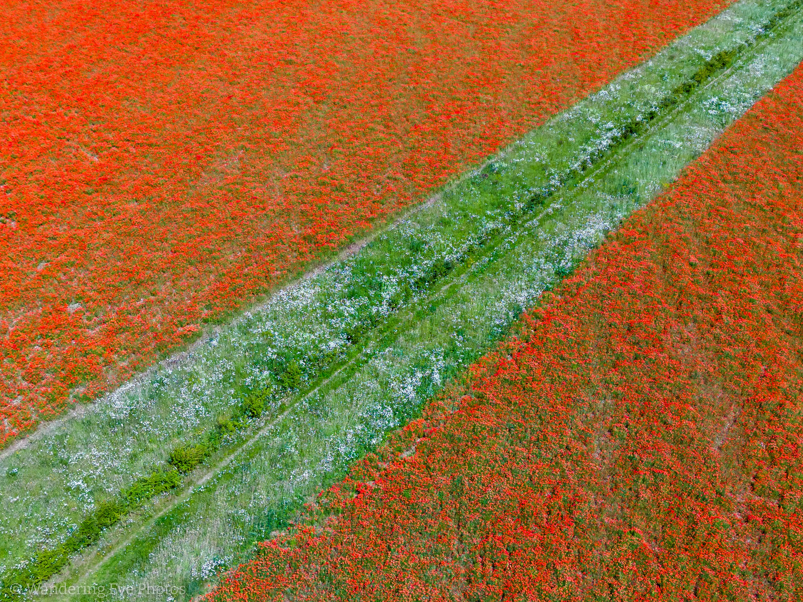 06.28 12.53.45   DJI 20240628125345 0017 D